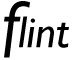 FLINT logo